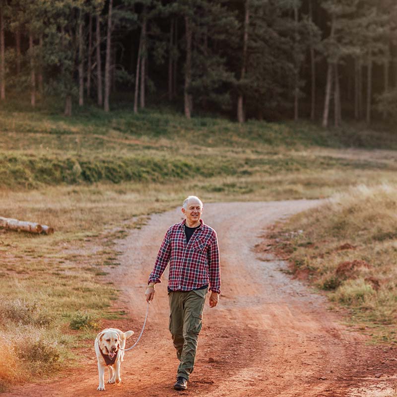 Man and dog on a walk