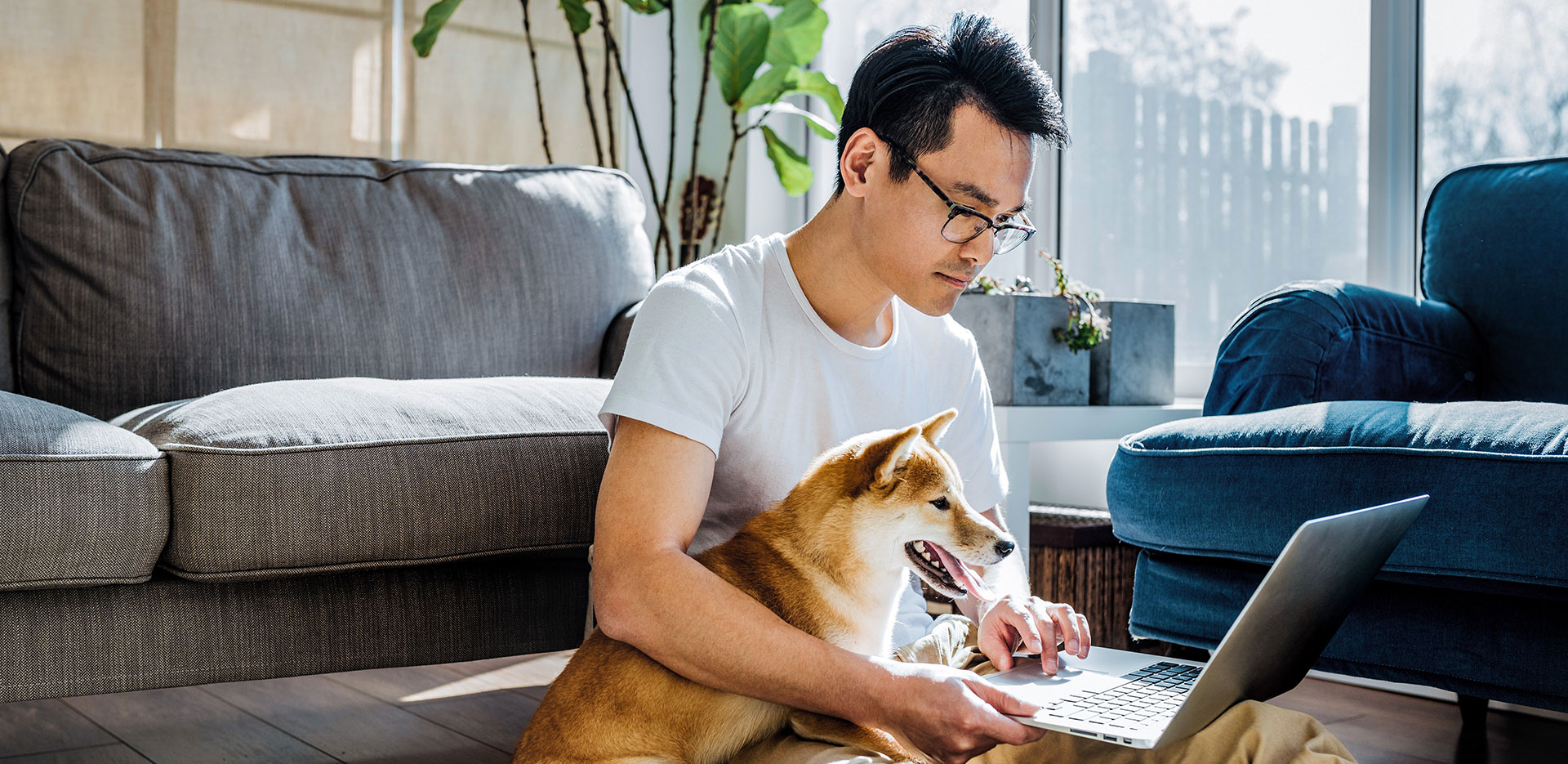 Man with dog on lap looks at laptop